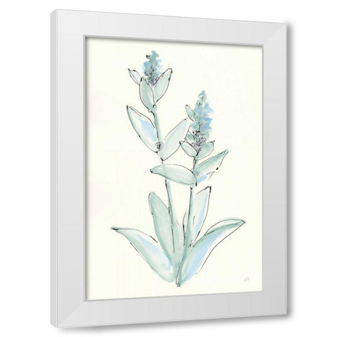 Lambs Ear Sage IV White Modern Wood Framed Art Print by Paschke, Chris
