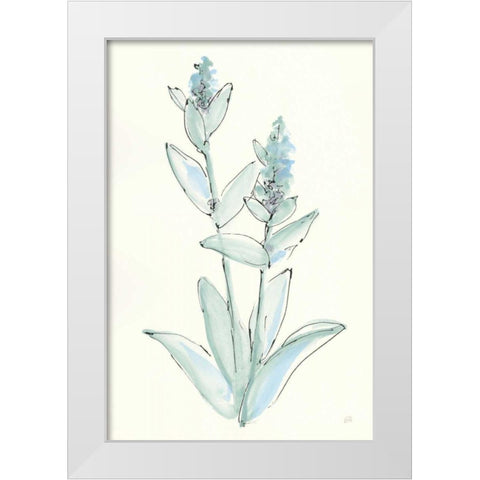 Lambs Ear Sage IV White Modern Wood Framed Art Print by Paschke, Chris