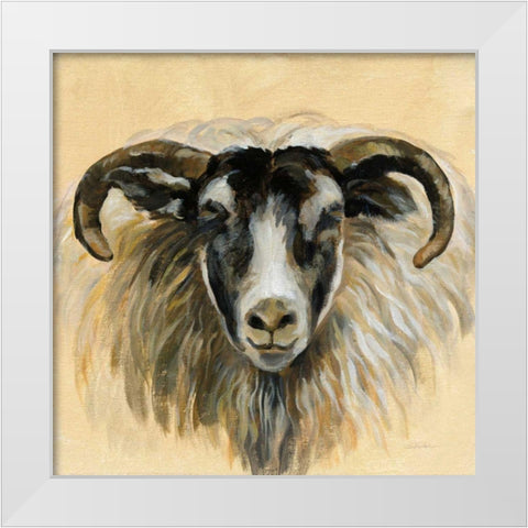 Highland Animal Ram White Modern Wood Framed Art Print by Vassileva, Silvia