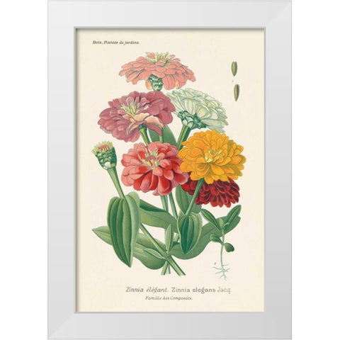 Antique Botanical XLI Light White Modern Wood Framed Art Print by Wild Apple Portfolio