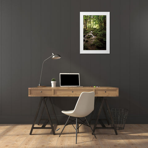 Lush Creek in Forest White Modern Wood Framed Art Print by Van Swearingen, Debra