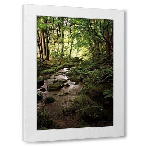 Lush Creek in Forest White Modern Wood Framed Art Print by Van Swearingen, Debra