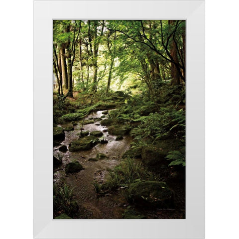 Lush Creek in Forest White Modern Wood Framed Art Print by Van Swearingen, Debra