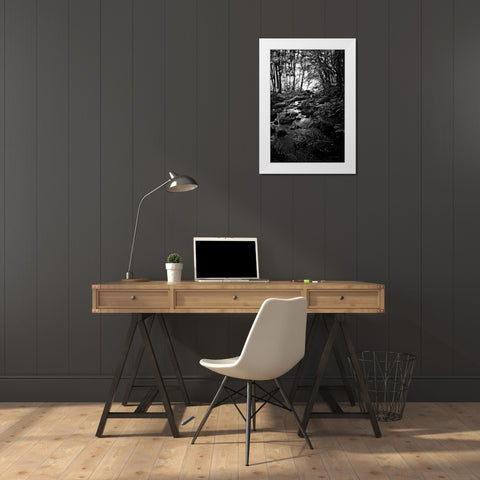 Lush Creek in Forest BW White Modern Wood Framed Art Print by Van Swearingen, Debra