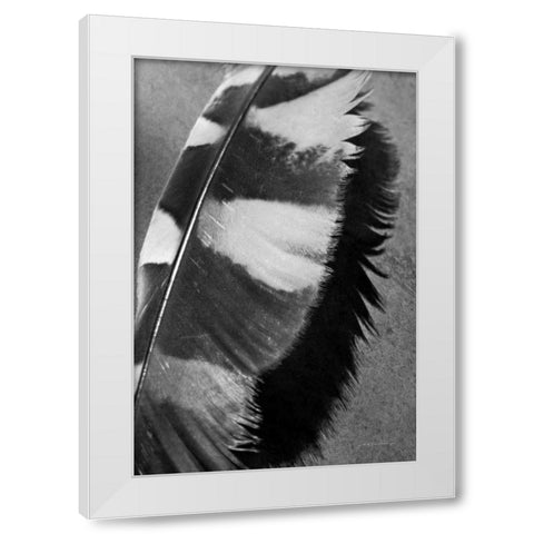 Feather Shadow I White Modern Wood Framed Art Print by Van Swearingen, Debra