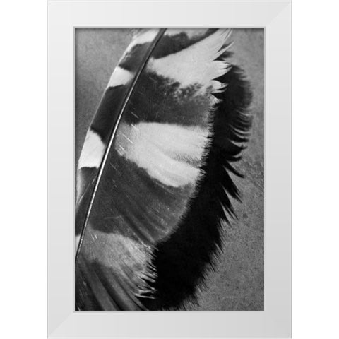 Feather Shadow I White Modern Wood Framed Art Print by Van Swearingen, Debra