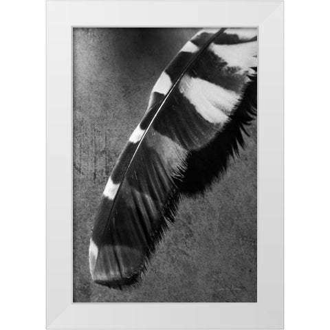 Feather Shadow II White Modern Wood Framed Art Print by Van Swearingen, Debra