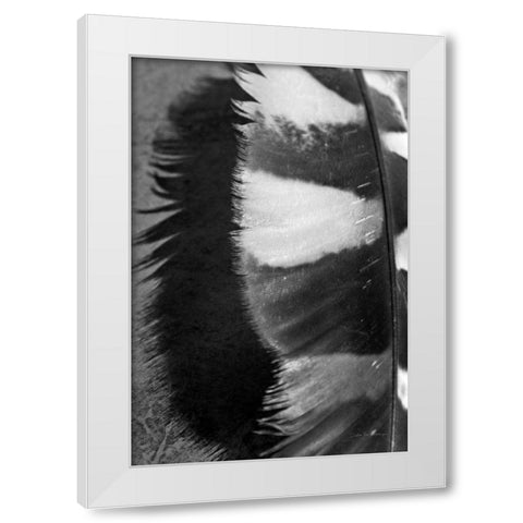 Feather Shadow III White Modern Wood Framed Art Print by Van Swearingen, Debra