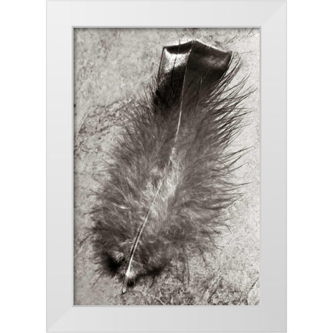 Feather Shadow IV White Modern Wood Framed Art Print by Van Swearingen, Debra