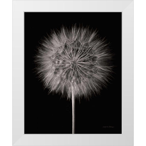 Dandelion Fluff on Black White Modern Wood Framed Art Print by Van Swearingen, Debra