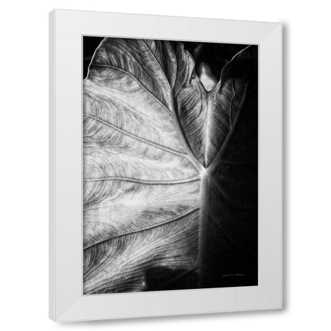 Elephant Ear I White Modern Wood Framed Art Print by Van Swearingen, Debra