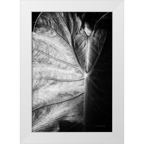 Elephant Ear I White Modern Wood Framed Art Print by Van Swearingen, Debra