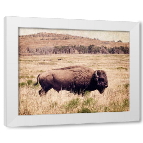Buffalo I White Modern Wood Framed Art Print by Van Swearingen, Debra