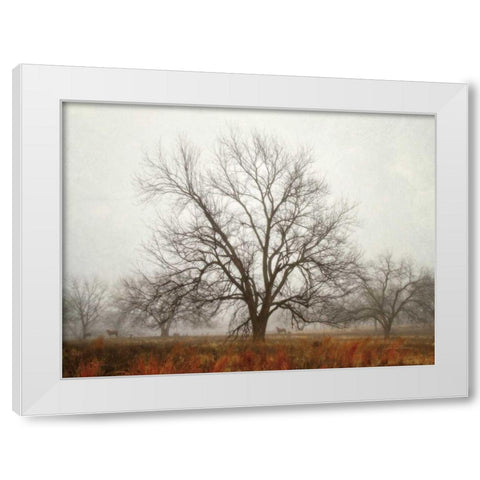 Morning Calm I White Modern Wood Framed Art Print by Van Swearingen, Debra