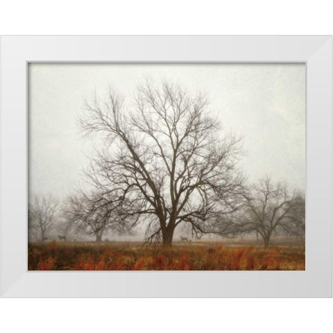Morning Calm I White Modern Wood Framed Art Print by Van Swearingen, Debra