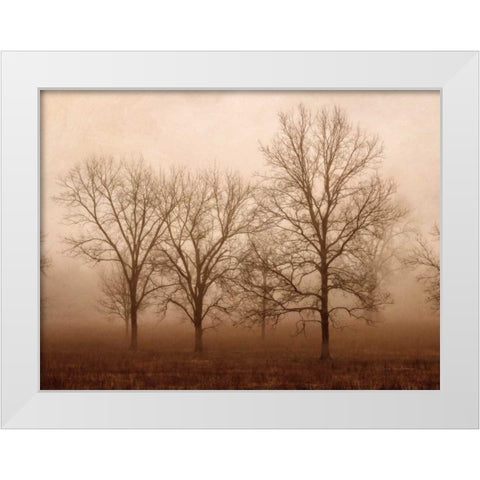 Morning Calm III White Modern Wood Framed Art Print by Van Swearingen, Debra