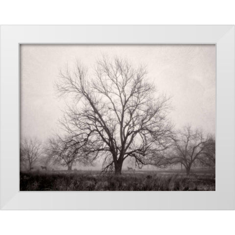 Morning Calm I BW White Modern Wood Framed Art Print by Van Swearingen, Debra