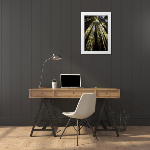 The Stand White Modern Wood Framed Art Print by Van Swearingen, Debra