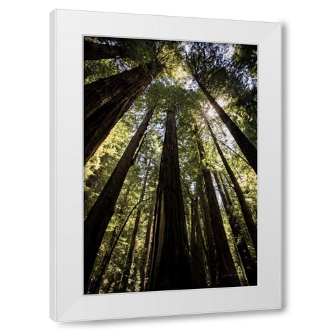 The Stand White Modern Wood Framed Art Print by Van Swearingen, Debra