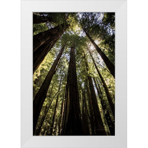 The Stand White Modern Wood Framed Art Print by Van Swearingen, Debra
