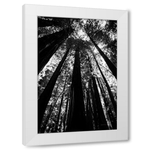 The Stand BW White Modern Wood Framed Art Print by Van Swearingen, Debra