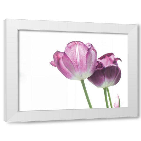 Tulip Time I White Modern Wood Framed Art Print by Aledanda