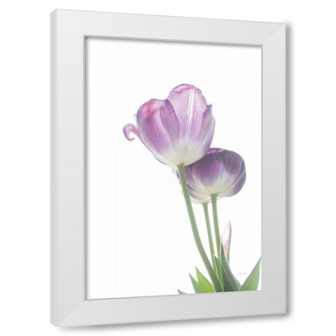 Tulip Time III White Modern Wood Framed Art Print by Aledanda