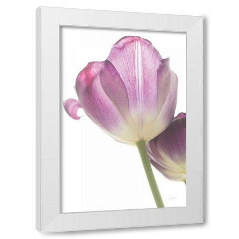 Tulip Time IV White Modern Wood Framed Art Print by Aledanda