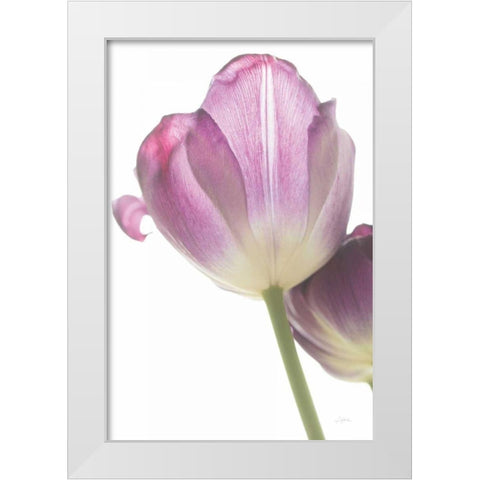Tulip Time IV White Modern Wood Framed Art Print by Aledanda