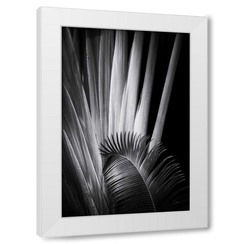 Tropical II White Modern Wood Framed Art Print by Aledanda