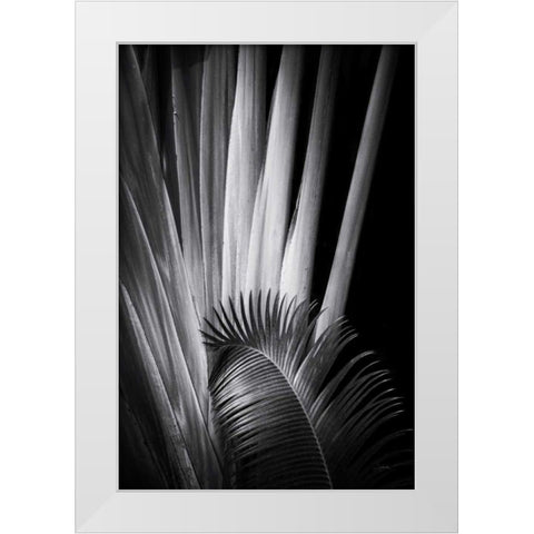 Tropical II White Modern Wood Framed Art Print by Aledanda