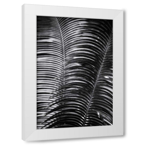 Tropical III White Modern Wood Framed Art Print by Aledanda