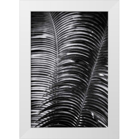 Tropical III White Modern Wood Framed Art Print by Aledanda