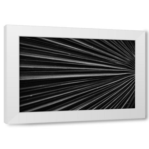 Tropical IV White Modern Wood Framed Art Print by Aledanda