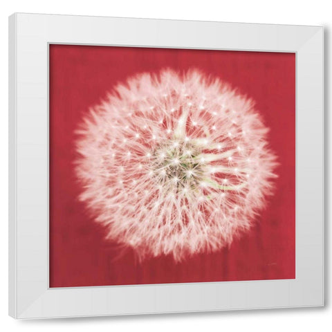 Dandelion on Red I White Modern Wood Framed Art Print by Aledanda