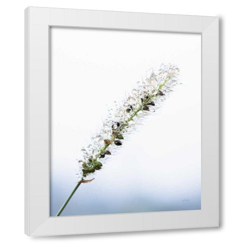 Seeds and Water I White Modern Wood Framed Art Print by Aledanda