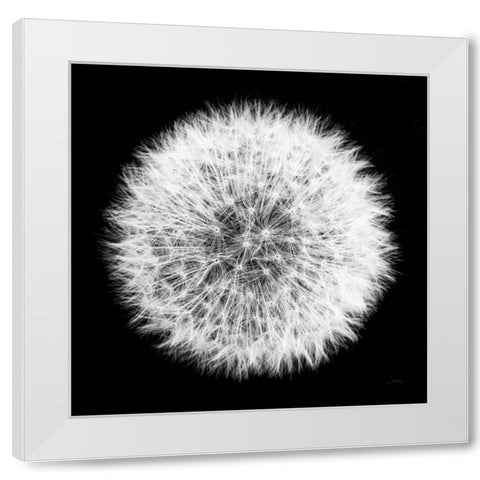 Dandelion on Black I White Modern Wood Framed Art Print by Aledanda