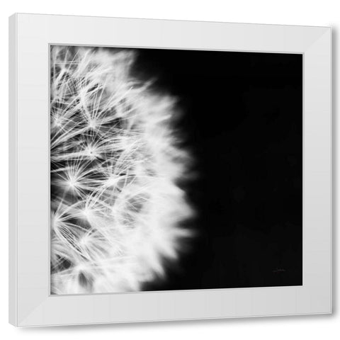Dandelion on Black II White Modern Wood Framed Art Print by Aledanda