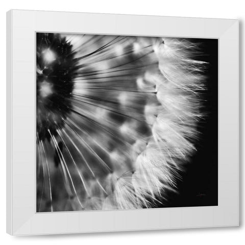 Dandelion on Black III White Modern Wood Framed Art Print by Aledanda