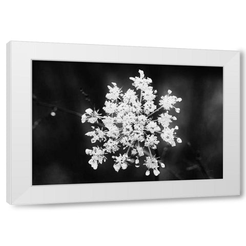 Diamond Brooch White Modern Wood Framed Art Print by Aledanda