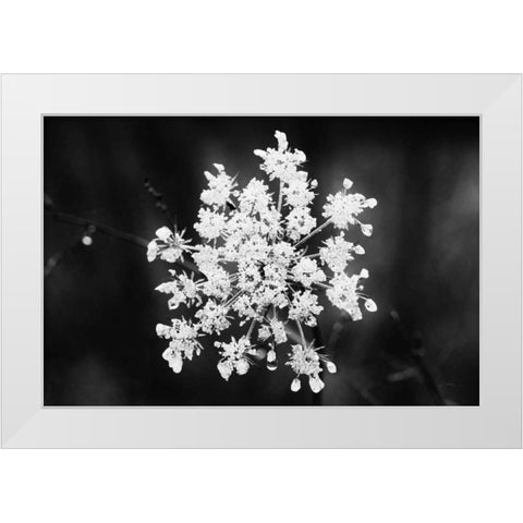 Diamond Brooch White Modern Wood Framed Art Print by Aledanda