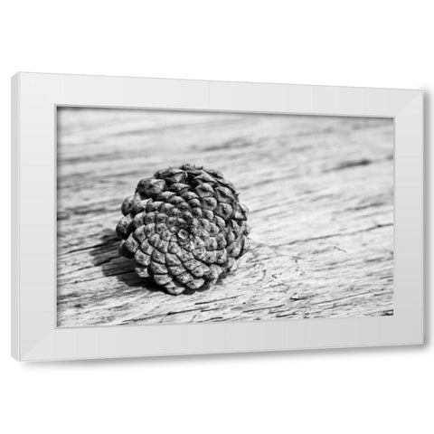 Pinecone White Modern Wood Framed Art Print by Aledanda