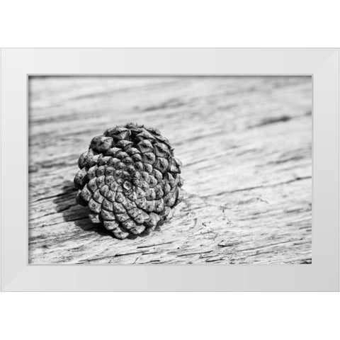 Pinecone White Modern Wood Framed Art Print by Aledanda