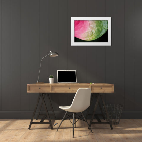 Pink and Green White Modern Wood Framed Art Print by Aledanda