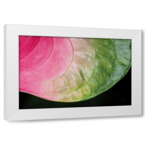Pink and Green White Modern Wood Framed Art Print by Aledanda