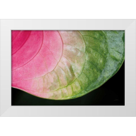 Pink and Green White Modern Wood Framed Art Print by Aledanda