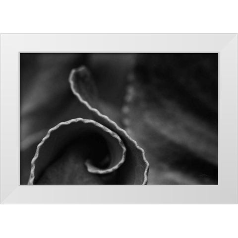 Circling Around White Modern Wood Framed Art Print by Aledanda