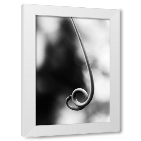 Curly Cue White Modern Wood Framed Art Print by Aledanda