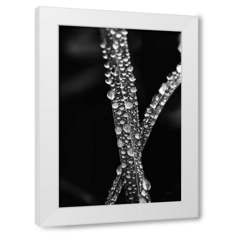 Water Droplets White Modern Wood Framed Art Print by Aledanda