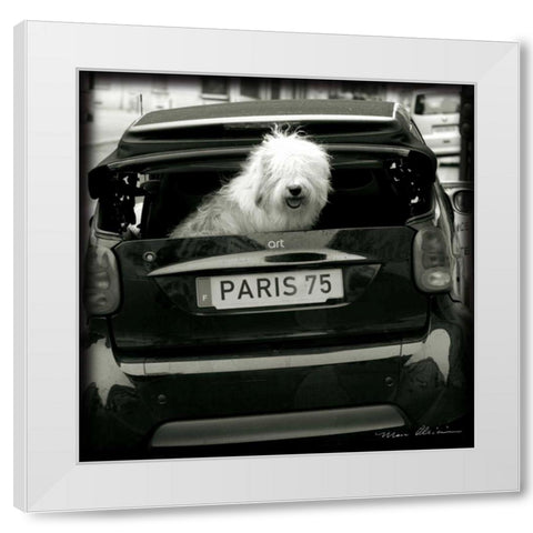 Paris Dog I White Modern Wood Framed Art Print by Olivier, Marc
